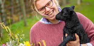Farming Connect backs Welsh growers at Royal Welsh Show