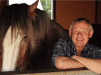Gentle giants take centre stage at Royal Welsh Show