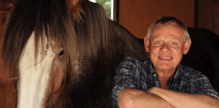 Gentle giants take centre stage at Royal Welsh Show