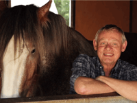 Gentle giants take centre stage at Royal Welsh Show