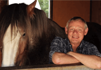 Gentle giants take centre stage at Royal Welsh Show