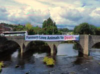 Animal rights group hold demonstration on Royal Welsh Show first day
