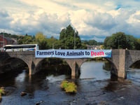 Animal rights group hold demonstration on Royal Welsh Show first day