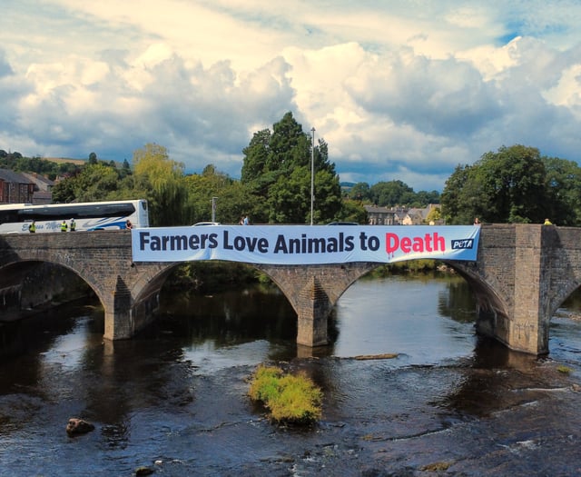 Animal rights group hold demonstration on Royal Welsh Show first day