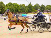 Brecon’s Emily Ham claims Reserve Title at national paradriving event