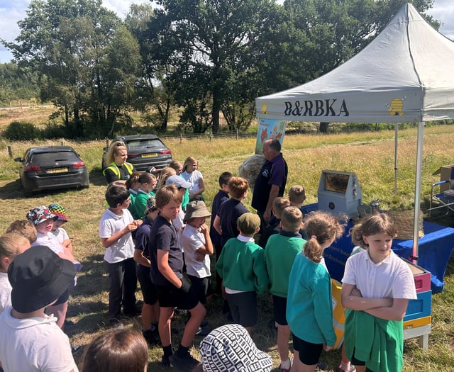 School pupils get a taste of life on the farm