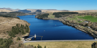 Video: Readers' nature photos from Brecon & Radnorshire