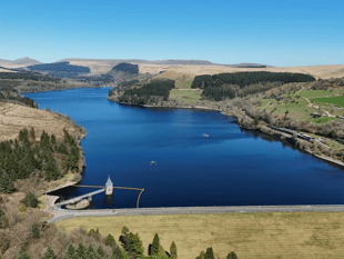 Video: Readers' nature photos from Brecon & Radnorshire