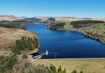 Video: Readers' nature photos from Brecon & Radnorshire