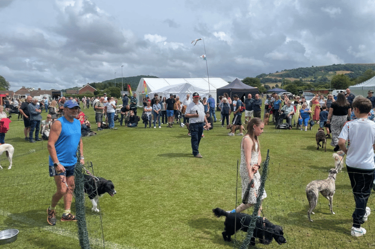 Hay Summer Show 2025