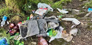 Mountain rescue training interrupted by litter blight