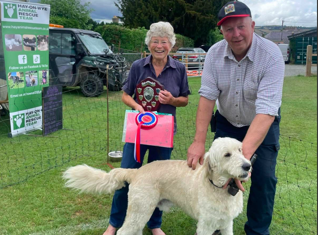 Hay Summer Show 2025
