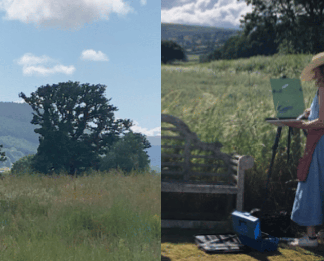 Radnorshire Artists to host events as part of Herefordshire Art Week