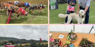 Video: Rain fails to dampen spirits at Hay Summer Show
