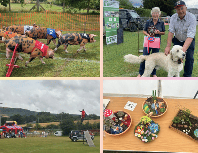 Video: Rain fails to dampen spirits at Hay Summer Show
