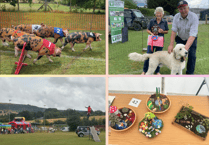 Video: Rain fails to dampen spirits at Hay Summer Show