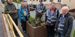 Floral planters bring new life to Heart of Wales railway stations