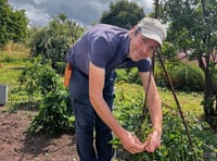 Garden project at Bronllys Hospital to boost wellbeing