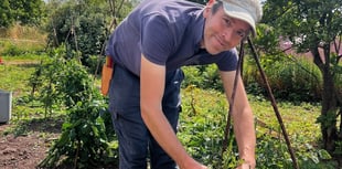 Garden project at Bronllys Hospital to boost wellbeing