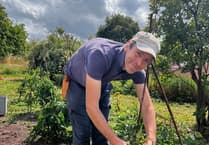 Garden project at Bronllys Hospital to boost wellbeing