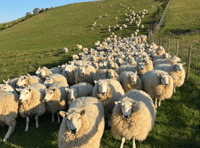 Video: Picture This - Leading lines in Brecon and Radnorshire