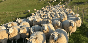 Video: Picture This - Leading lines in Brecon and Radnorshire