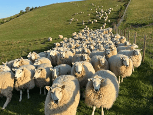 Video: Picture This - Leading lines in Brecon and Radnorshire