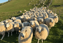 Video: Picture This - Leading lines in Brecon and Radnorshire