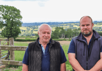 Powys farmers cut wormer use by half with targeted treatment