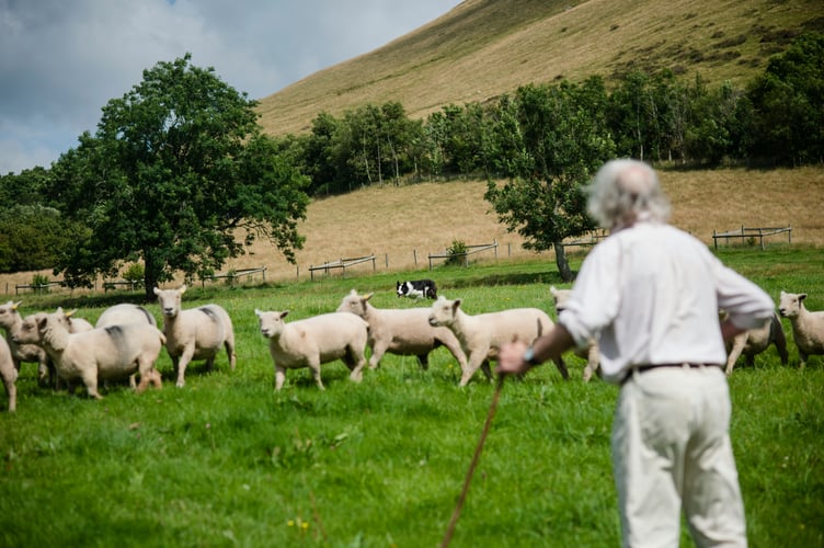 An initiative bringing health checks to farming communities has marked its first year in Powys