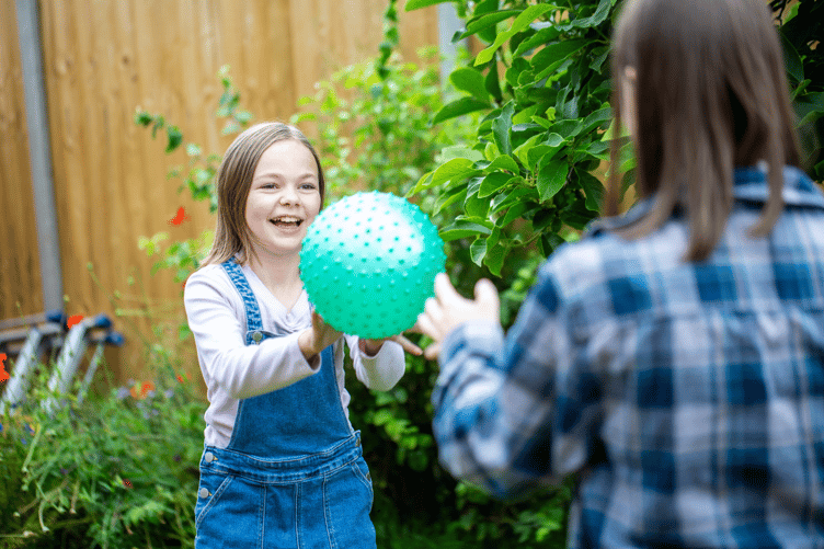 Powys fostering graphic