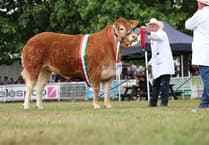 Who won big at this year's Royal Welsh Show?