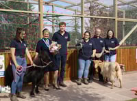 New red squirrel enclosure opens at farm park