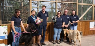 New red squirrel enclosure opens at farm park