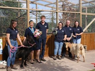 New red squirrel enclosure opens at farm park