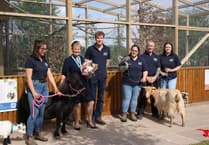 Family fete set for farm park's 35th birthday