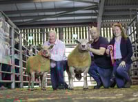 Talgarth ram tops sale charts in Brecon
