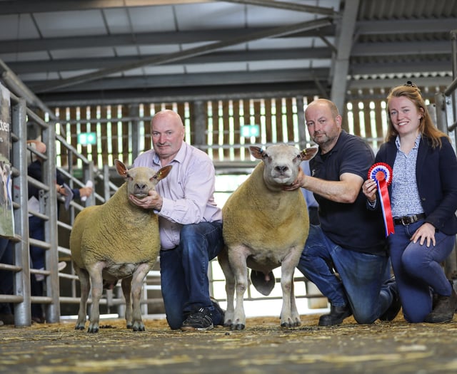 Talgarth ram tops sale charts in Brecon