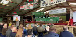 Sustainable farming in focus at upcoming NFU Cymru conference