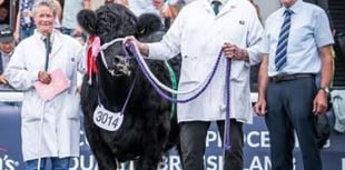 Bleddfa farm enjoys Royal Welsh success