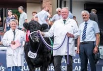 Bleddfa farm enjoys Royal Welsh success