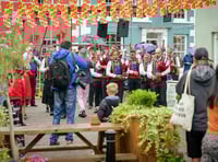 Llandovery Sheep Festival returns to woolly roots next month