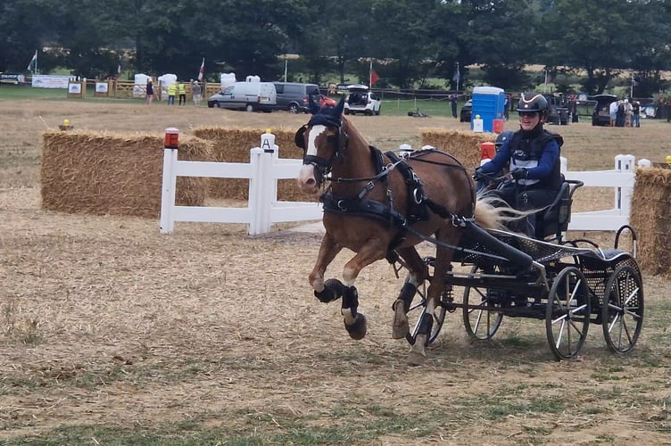 Emily and Alfie in action