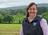 Farmers urged to explore sheep genetics in online webinar