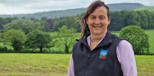 Farmers urged to explore sheep genetics in online webinar
