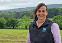 Farmers urged to explore sheep genetics in online webinar