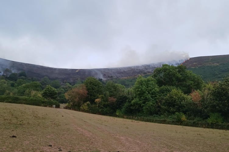 Llangorse Grass Fire 02