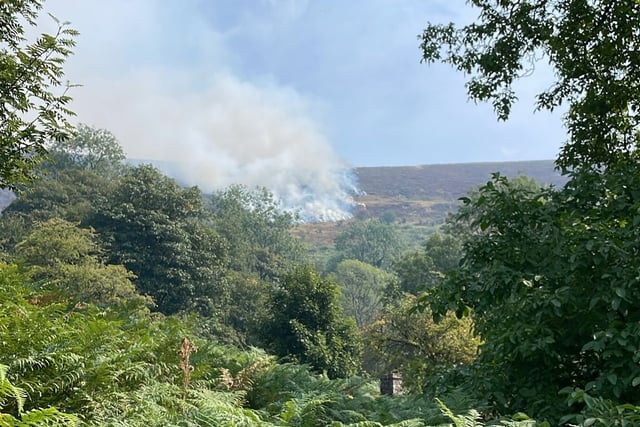 Firefighters battle 50-hectare wildfire in Llangorse