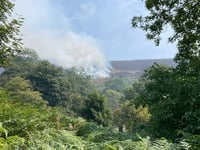 Firefighters battle 50-hectare wildfire in Llangorse