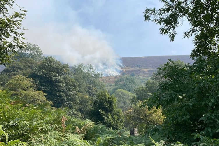 Llangorse Grass Fire
